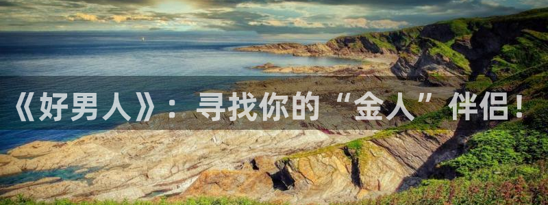 金桔 影視：《好男人》：尋找你的“金人”伴侶！