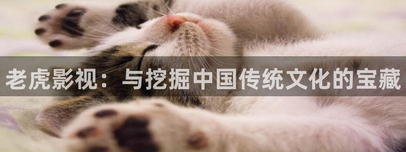 金桔直播視頻觀看