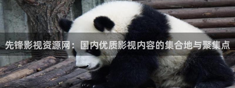 金桔檸檬汁視頻：先鋒影視資源網：國內優質影視內容的集合地與聚集點