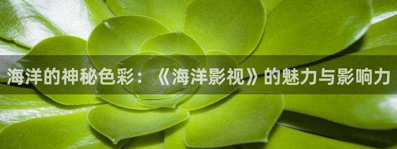 金桔檸檬汁視頻：海洋的神秘色彩：《海洋影視》的魅力與影響力