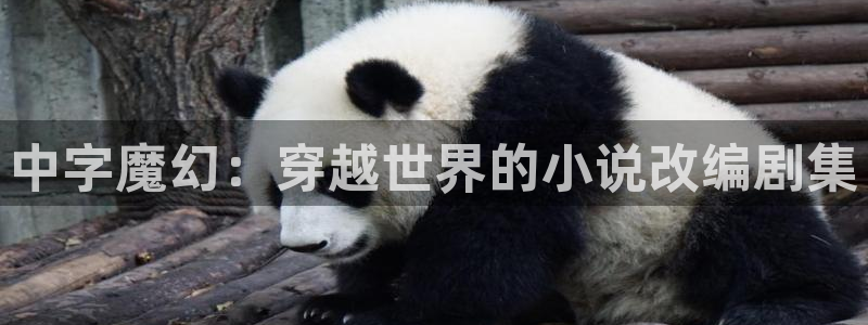 金桔視頻免費下載：中字魔幻：穿越世界的小說改編劇集